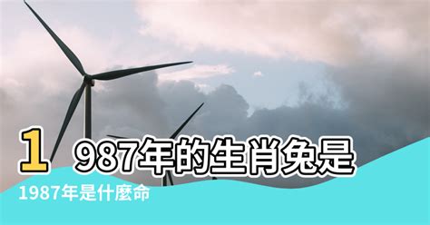 1987屬兔|【1987年什麼命】1987年屬兔什麼命？揭開兔年出生者的性格與。